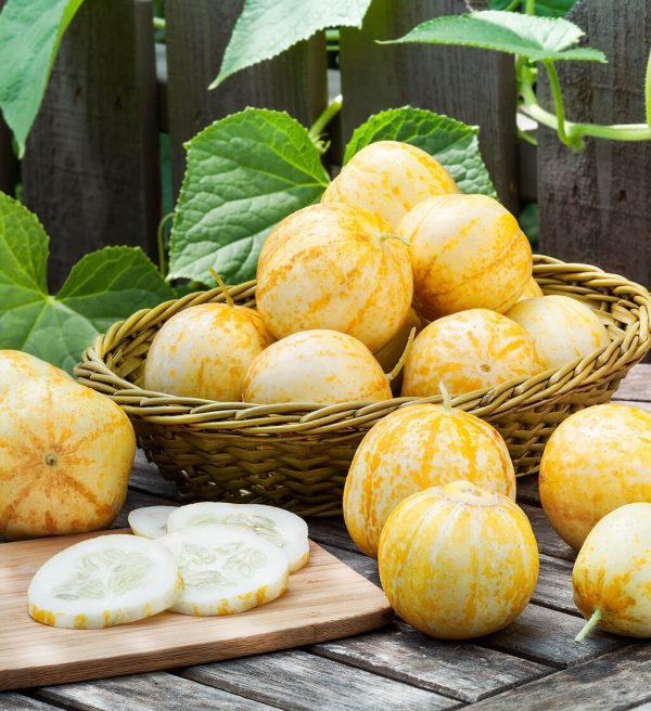 Semillas de pepino limón - Imagen 2