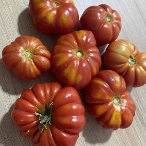 Semillas de tomate costoluto fiorentino