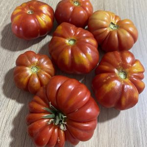 Semillas de tomate costoluto fiorentino