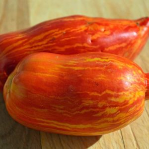 Semillas de tomate speckled roman