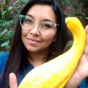 Semillas de zapallo yellow crookneck