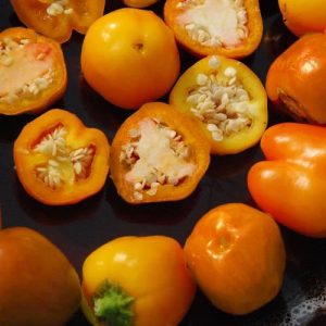 Semillas de pimiento mini bell naranjo