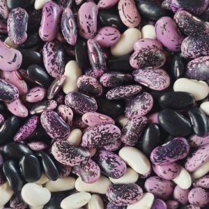 Poroto pallar mix