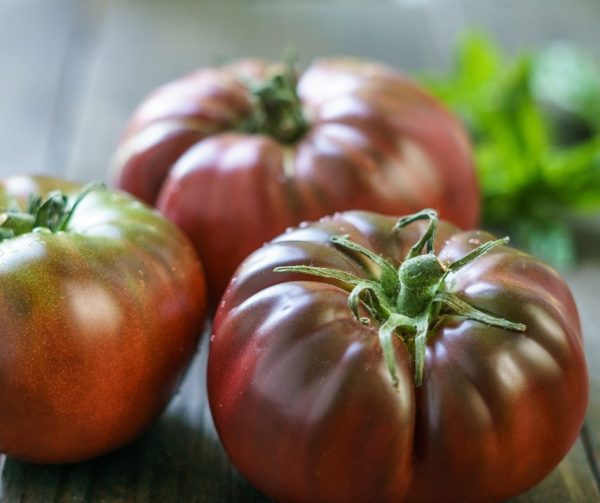 Semillas de tomate black crin
