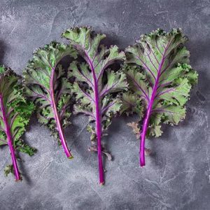 Semillas de kale red russian