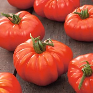 Semillas de tomate marmande