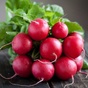 Semillas de rabanito cherry belle