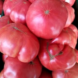 Semillas de tomate rosado